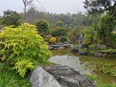 -东莞植物园