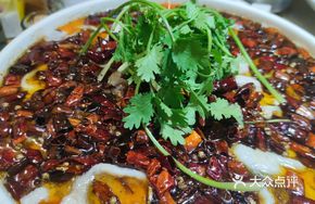Dudu Spring Water Fish