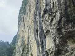 -秦岭天竺山生态文化旅游景区