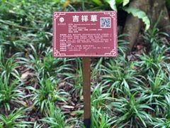 -广西壮族自治区药用植物园