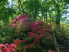 -西泰山风景区