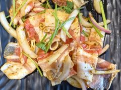 -四斤烤肉(东戴河孟家店)