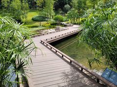-云溪植物园