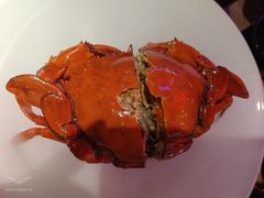 -红盔甲·小龙虾(车公庙店)