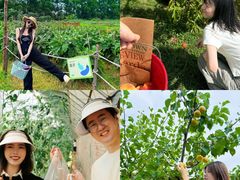 -藏龙百瀑风景区