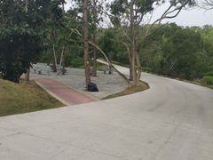 -广东惠东海龟国家级自然保护区