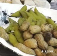 Cat and Chicken Fusion