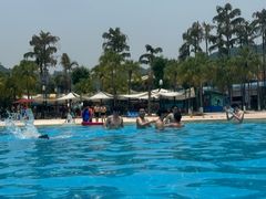 -重庆海昌加勒比海水世界