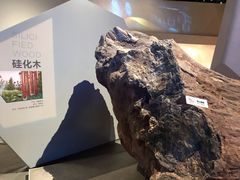 -武汉园博园(武汉自然博物馆)