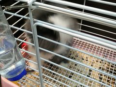 -乐宠宠物店(世纪金源店)