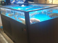 水产区-盒马鲜生(双清路店)