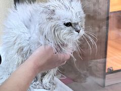 -喜洋洋宠物医院(震川路总店)