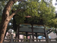 -长沙市青少年宫