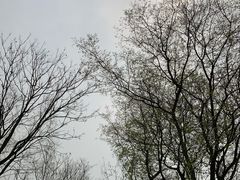 -盘龙城国家考古遗址公园