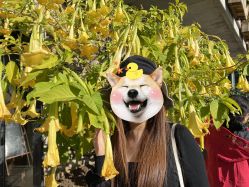 -镁连社·美联社