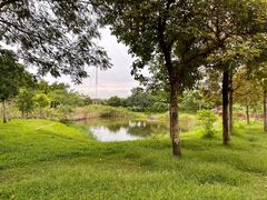-福田红树林生态公园