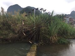 -靖西鹅泉风景区