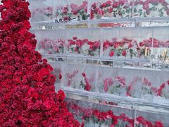 -万达广场(龙湖店)