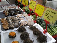 -蚝专家(北滘店)