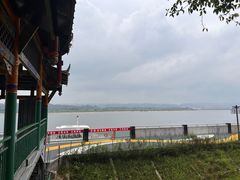 -江湾神木园
