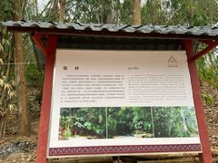 -曼丢傣家古寨