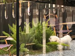 -J Create城市露营咖啡·简餐·宠物(上海动物园店)