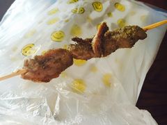 -孙阁老油炸羊肉串(制锦市店)