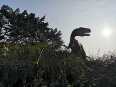 -自贡恐龙博物馆