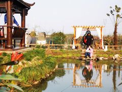 -樂桃源奉贤黄桃种植采摘基地
