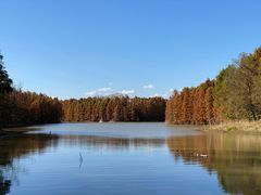 -上海海湾国家森林公园