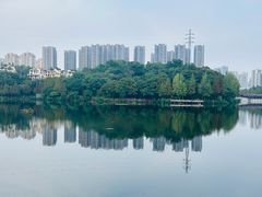 -重庆彩云湖湿地公园