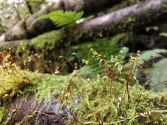-燕子沟风景区