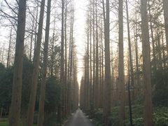 -上海怡沁园度假酒店