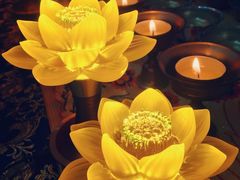 -光明牛奶棚(南泉店)