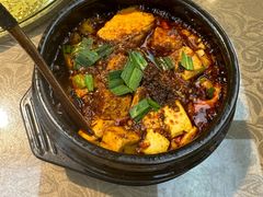 -陈麻婆豆腐(旗舰店)