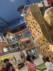 -卡通尼·Safari非洲探索乐园·生日会(金桥国际商业广场店)