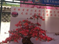 -无锡惠山寺