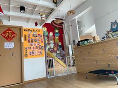 -南京Hallo宠物乐园·哈罗犬舍·柴犬繁育基地