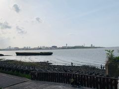 -上海滨江森林公园