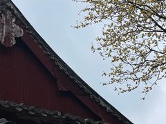 -宁波市保国寺古建筑博物馆