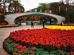 -云溪植物园