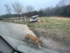 -西安秦岭野生动物园
