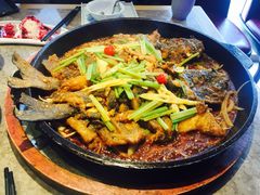 -老板恋上鱼(恒隆广场店)