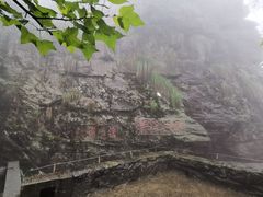 -庐山风景区花径公园