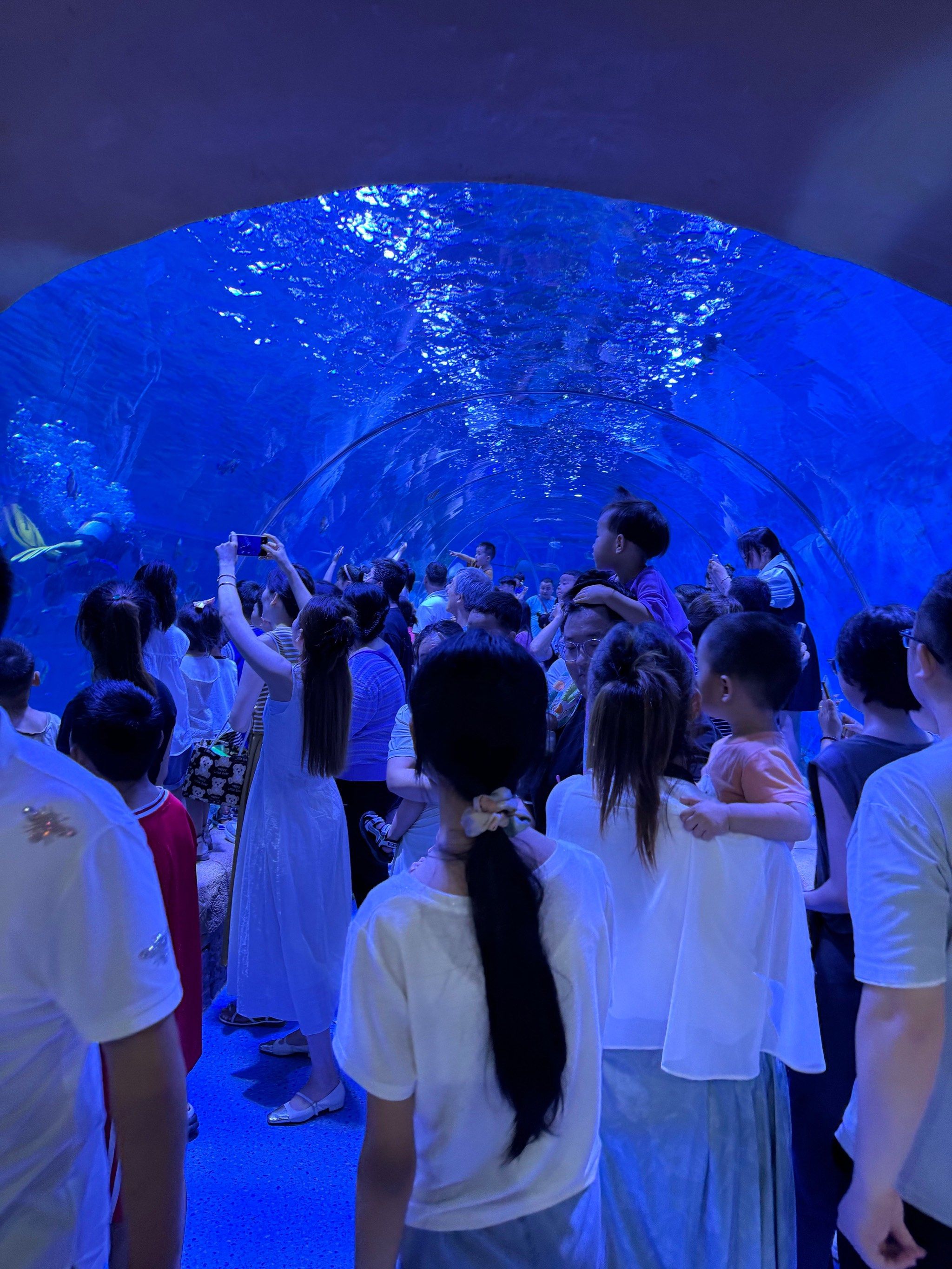 南阳去海洋馆的人这么多吗…?