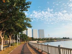 -五缘湾游艇帆船俱乐部