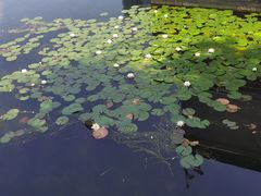 -后襄河公园