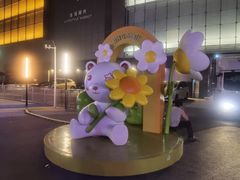 -北京华联购物中心(同成街店)