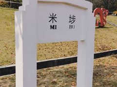 -天适樱花悠乐园