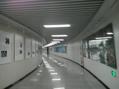 -北京大学第一医院(西城厂桥院区)